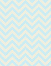 Light Blue And Peach  Chevrons Photography Backdrop Shopbackdrop